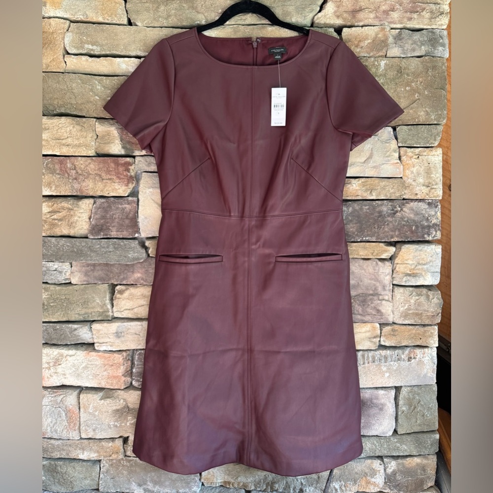 Ann Taylor Rich Burgundy Mini Dress